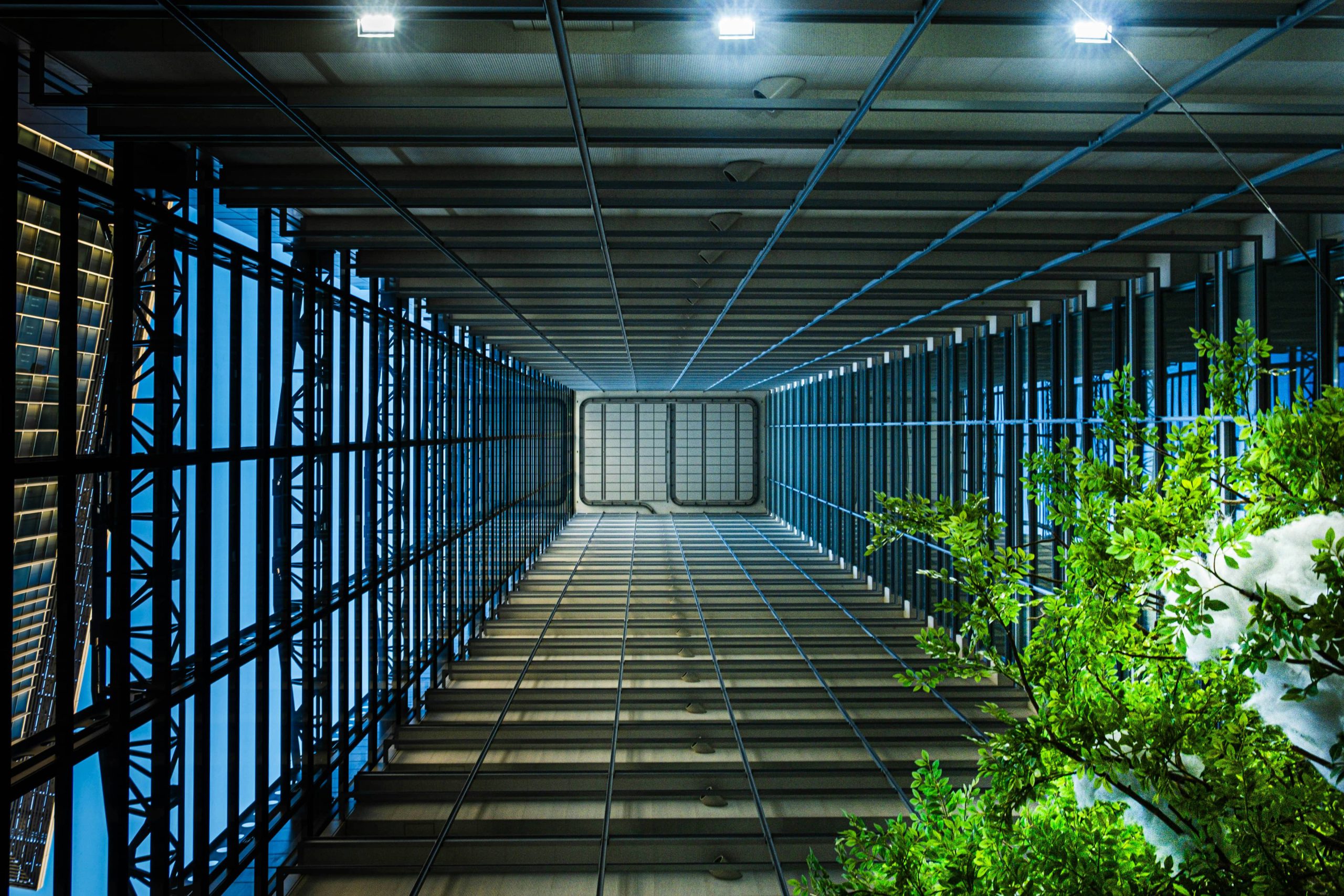 2339942426167209804950c24cc671436e3b23fb-min